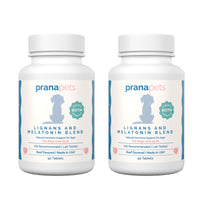 Thumbnail for Lignans and Melatonin Blend for Dogs with Biotin