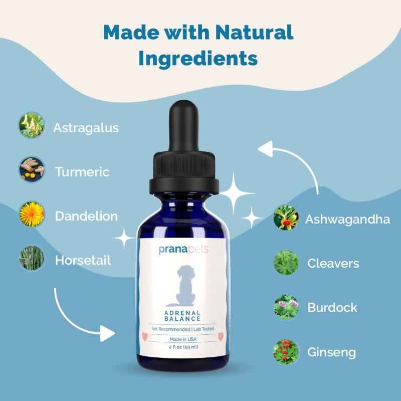 Cushing's Adrenal Balance - Cushing's Treatment for Dogs