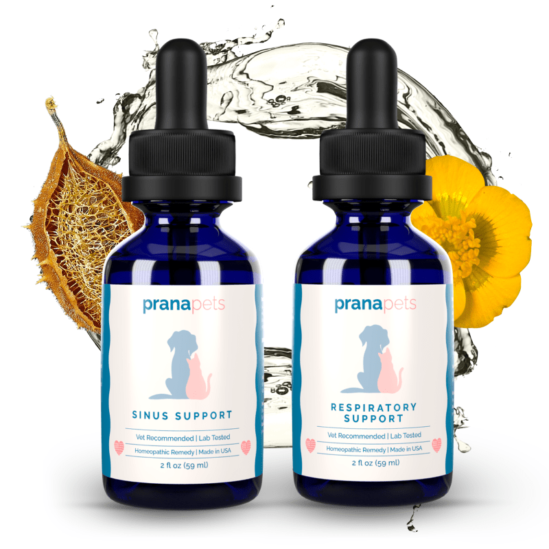 Easy Breathing Combo - Sinus and Respiratory Support