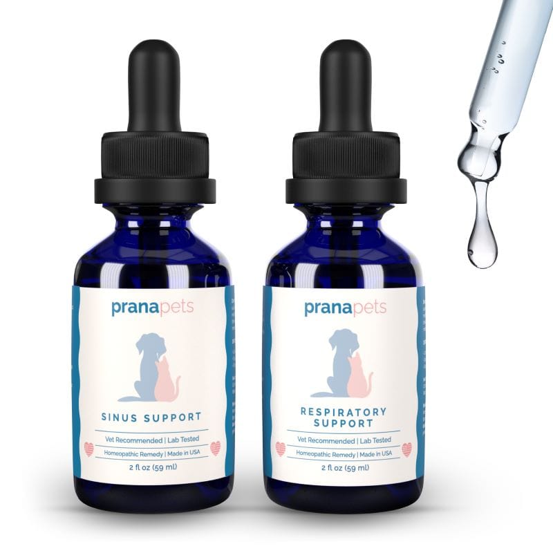 Easy Breathing Combo - Sinus and Respiratory Support