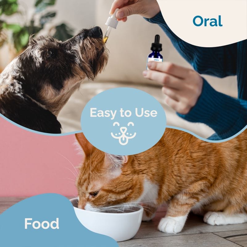Immunity Blend for Cats