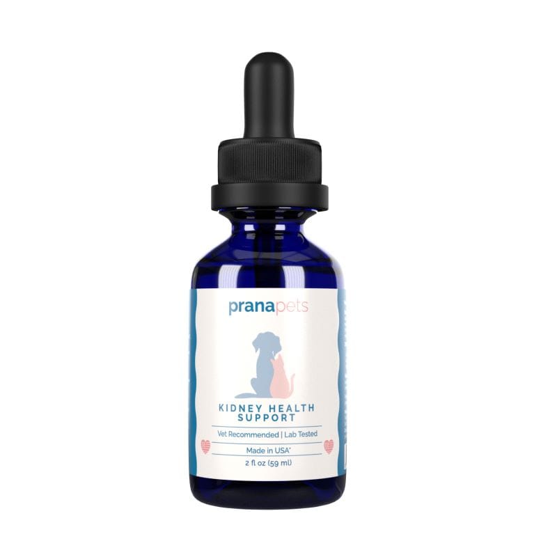 Kidney Health Support for Cats