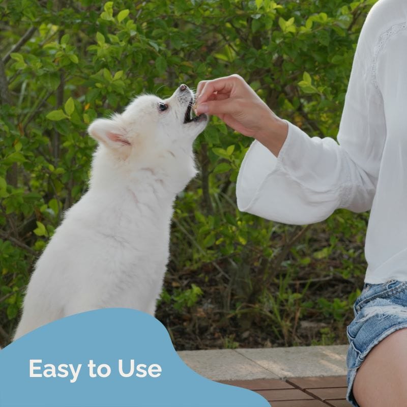 Lignans and Melatonin Blend for Dogs with Biotin