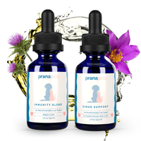 Thumbnail for Sinus Immunity Regimen