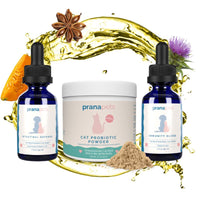 Thumbnail for Complete Feline Gut Health Regimen