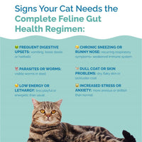 Thumbnail for Complete Feline Gut Health Regimen