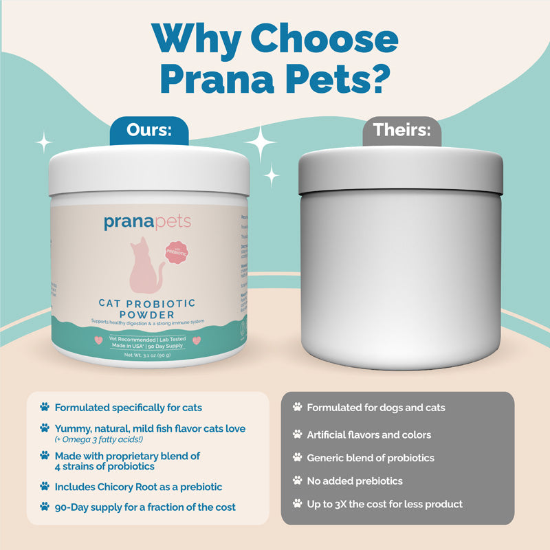 Complete Feline Gut Health Regimen