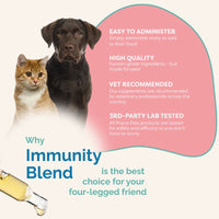 Thumbnail for Complete Feline Gut Health Regimen
