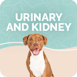 Urinary & Kidney Supplements for Dogs