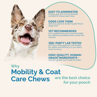 Thumbnail for Mobility & Coat Care Chews for Dogs
