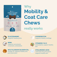 Thumbnail for Mobility & Coat Care Chews for Dogs