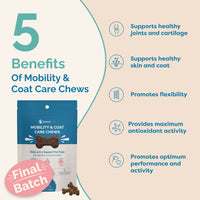Thumbnail for Mobility & Coat Care Chews for Dogs