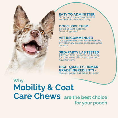 Mobility & Coat Care Chews for Dogs - 60 Ct