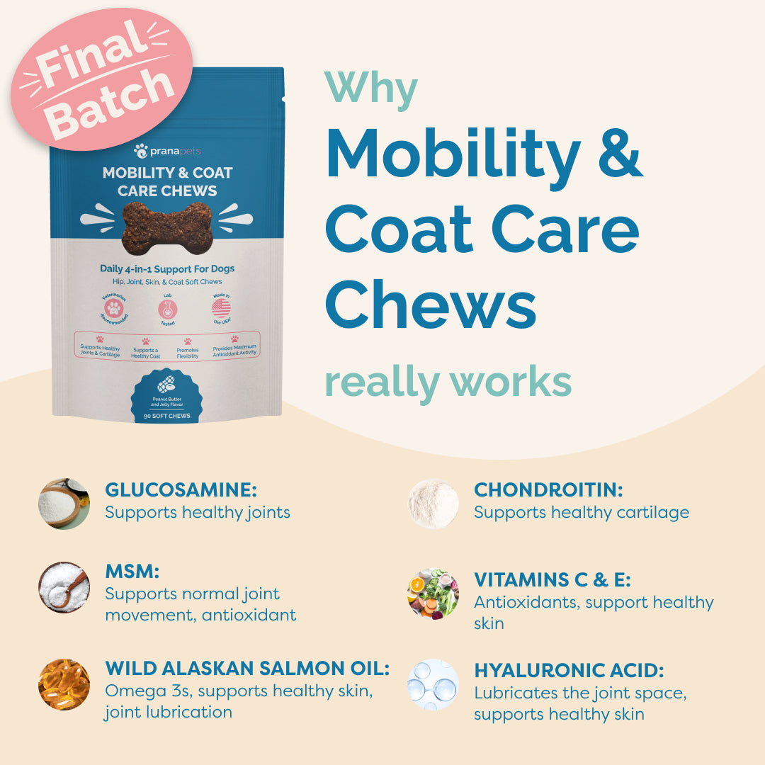 Mobility & Coat Care Chews for Dogs