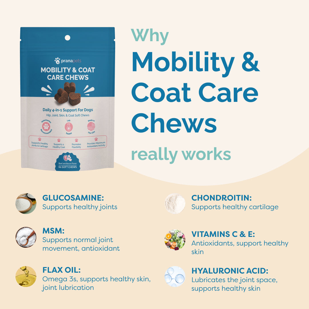 Mobility & Coat Care Chews for Dogs - 60 Ct