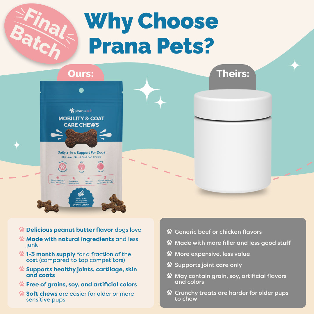 Mobility & Coat Care Chews for Dogs