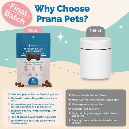 Mobility & Coat Care Chews for Dogs