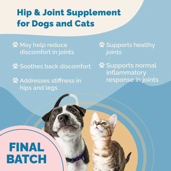 Hip & Joint Supplement with Glucosamine for Cats