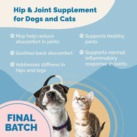 Thumbnail for Hip & Joint Supplement with Glucosamine for Cats
