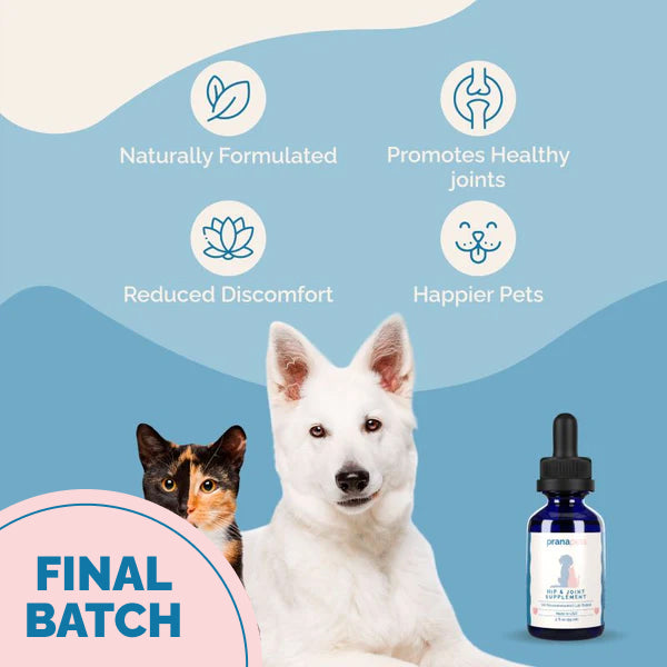 Hip & Joint Supplement with Glucosamine for Cats