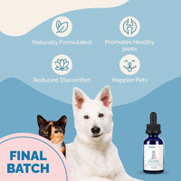 Thumbnail for Hip & Joint Supplement with Glucosamine for Cats