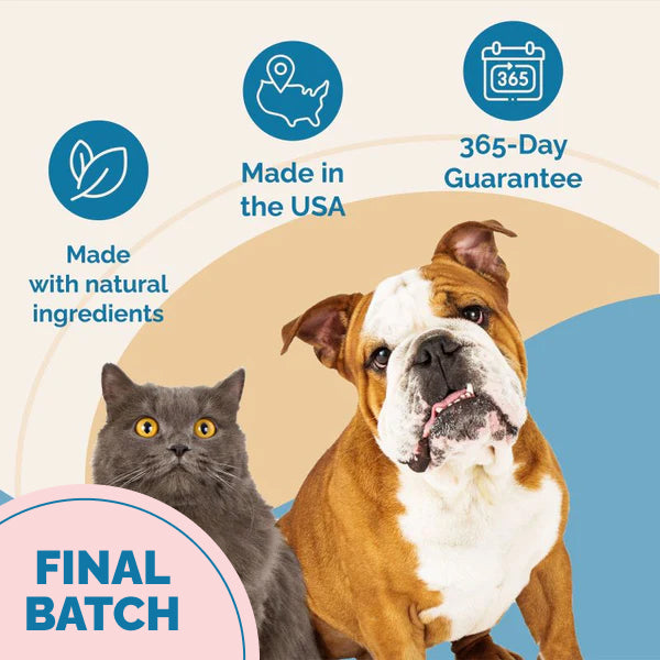 Hip & Joint Supplement with Glucosamine for Cats