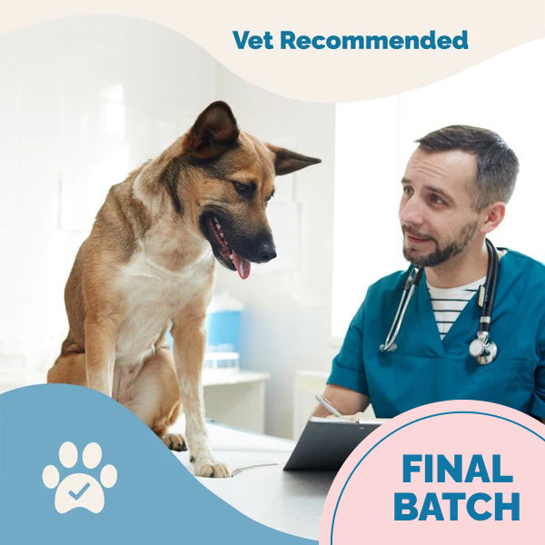 Hip & Joint Supplement with Glucosamine for Cats