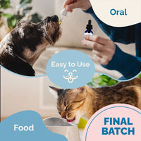 Thumbnail for Hip & Joint Supplement with Glucosamine for Cats