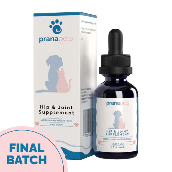 Hip & Joint Supplement with Glucosamine for Cats