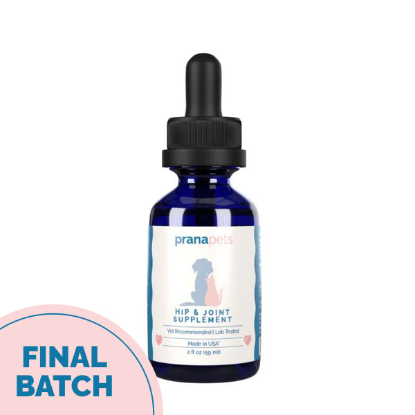 Hip & Joint Supplement with Glucosamine for Cats