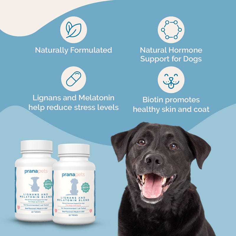 Lignans and Melatonin Blend for Dogs with Biotin