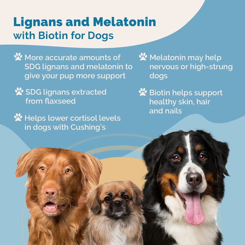 Lignans and Melatonin Blend for Dogs with Biotin