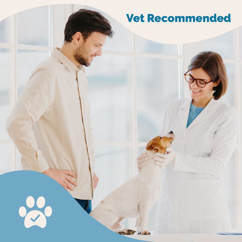 Mobility & Coat Care Chews for Dogs