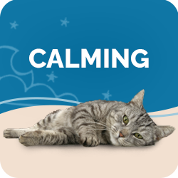 Cat Anxiety & Calming Supplements