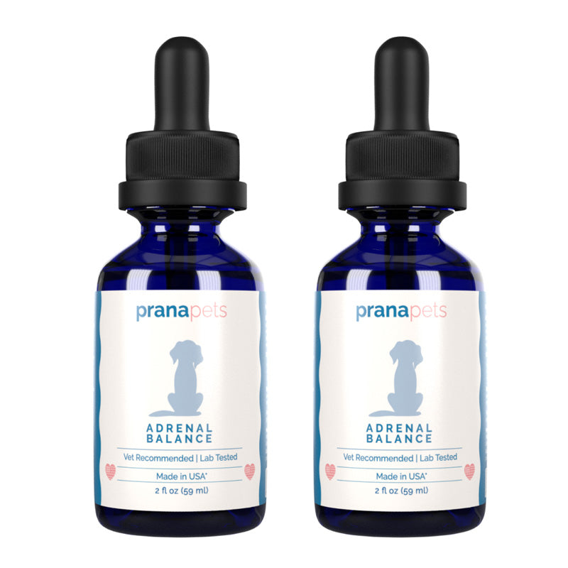 Cushing's Adrenal Balance - Cushing's Treatment for Dogs