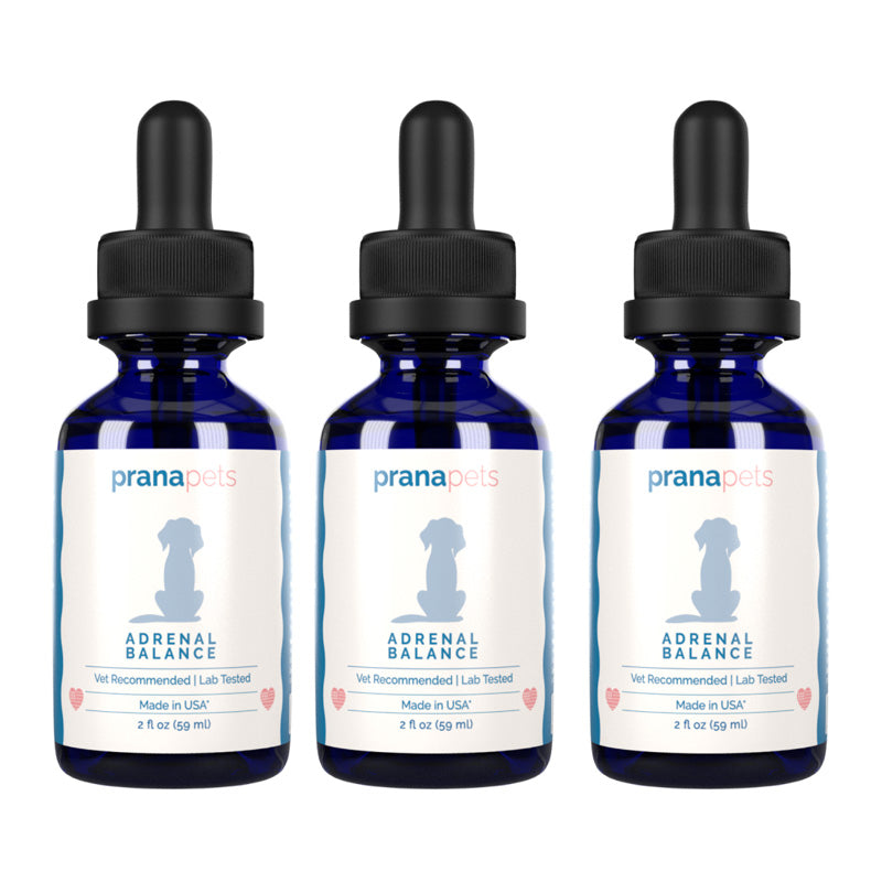 Cushing's Adrenal Balance - Cushing's Treatment for Dogs