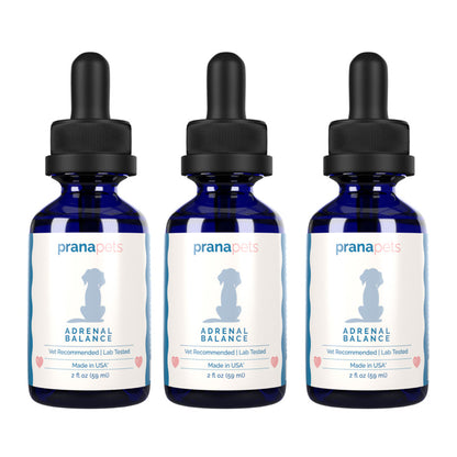 Cushing's Adrenal Balance - Cushing's Treatment for Dogs