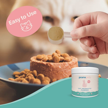 Cat Probiotic Powder - FREE GIFT