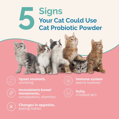 Cat Probiotic Powder - FREE GIFT