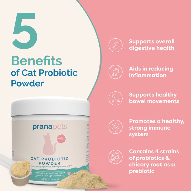 Cat Probiotic Powder - FREE GIFT