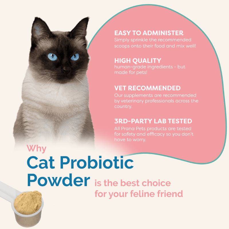 Cat Probiotic Powder