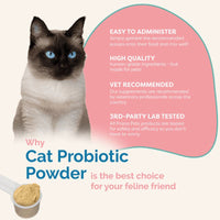 Thumbnail for Cat Probiotic Powder