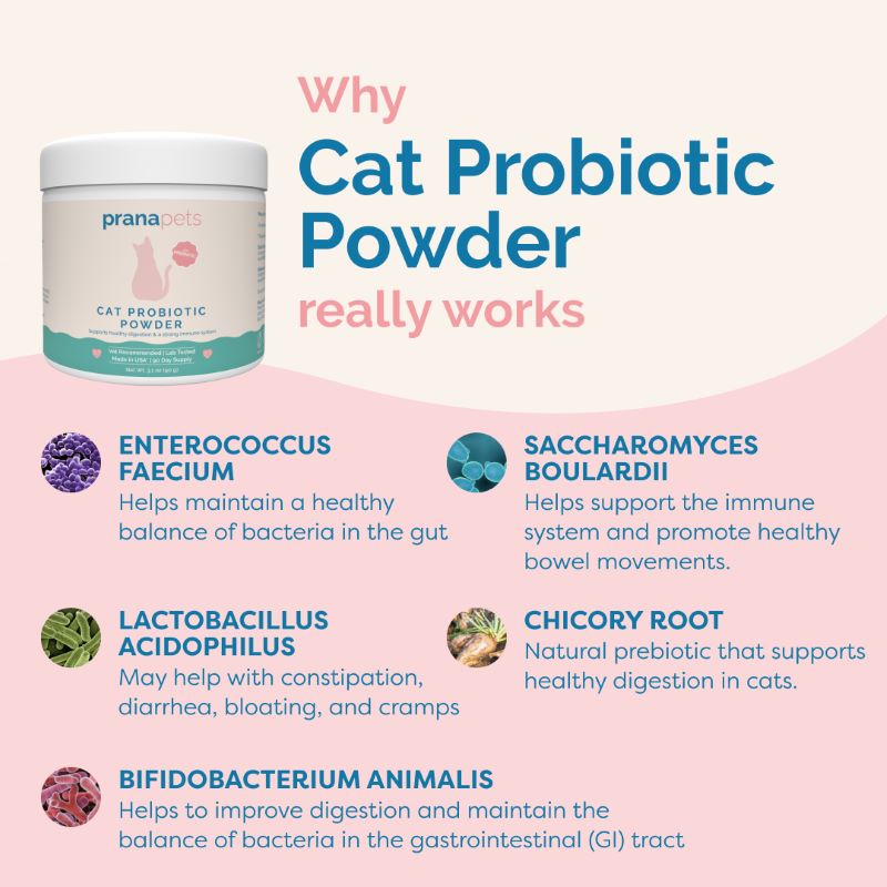 Cat Probiotic Powder