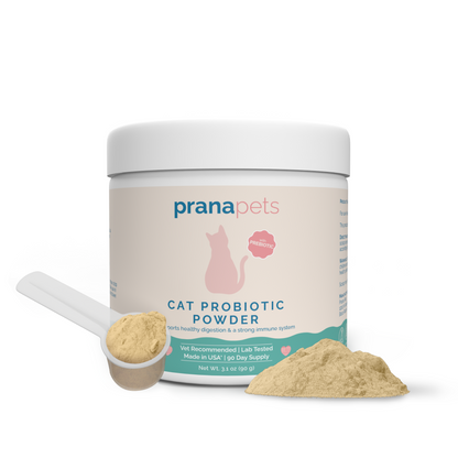 Cat Probiotic Powder - FREE GIFT