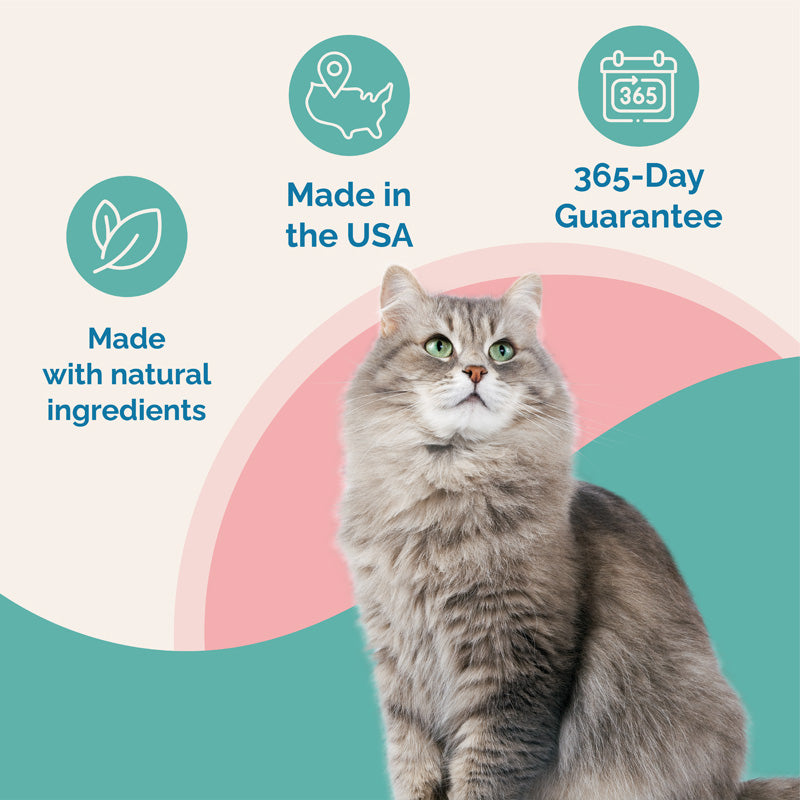 Cat Probiotic Powder - FREE GIFT