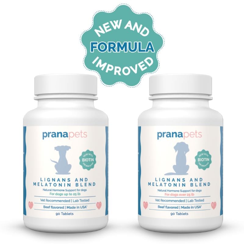 Lignans and Melatonin Blend for Dogs with Biotin
