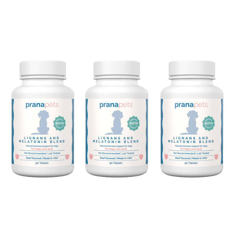 Lignans and Melatonin Blend for Dogs with Biotin