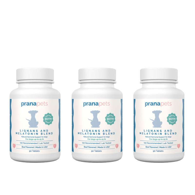 Lignans and Melatonin Blend for Dogs with Biotin