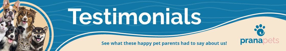 Customer Reviews - 