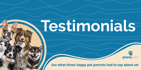 Customer Reviews - 